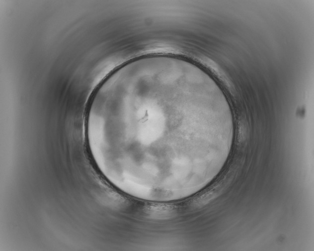 X0000091291274200709071024