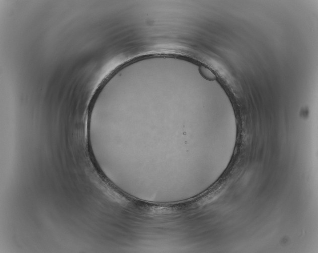 X0000091291275200709071024