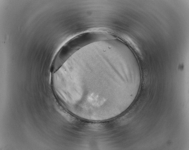 X0000091291276200709071024