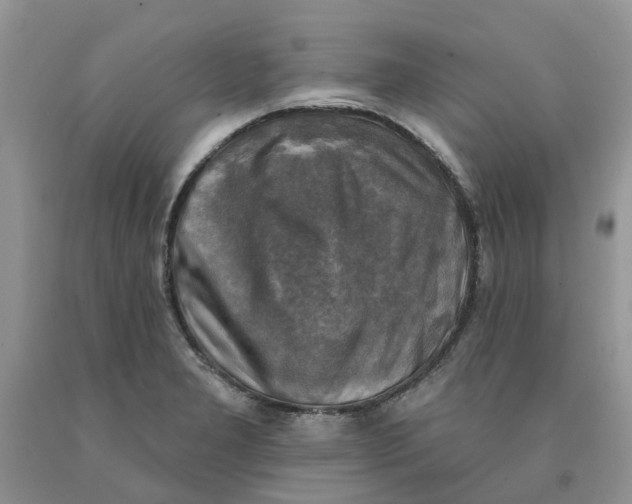 X0000091291277200709071024