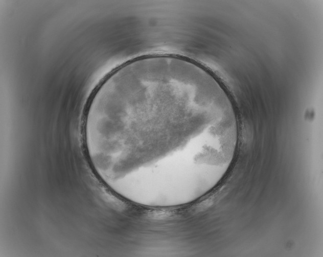 X0000091291278200709071024