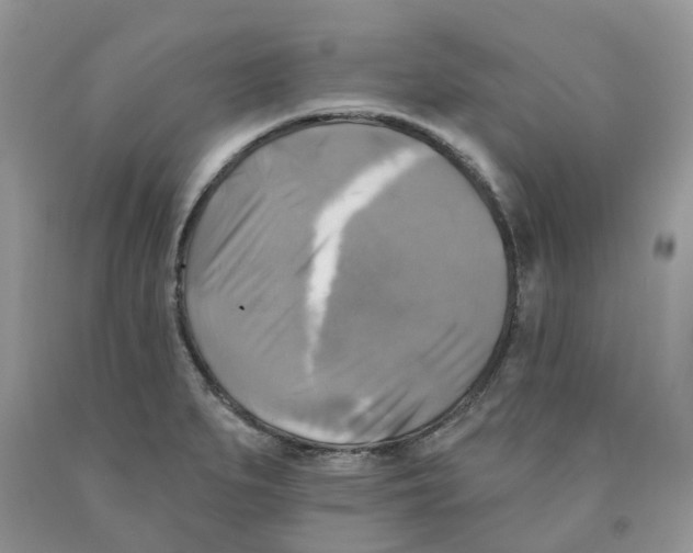 X0000091291279200709071024