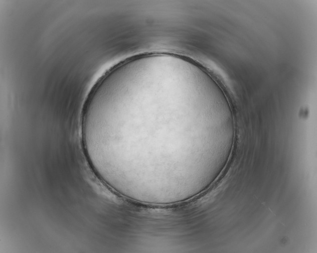 X0000091291280200709071024