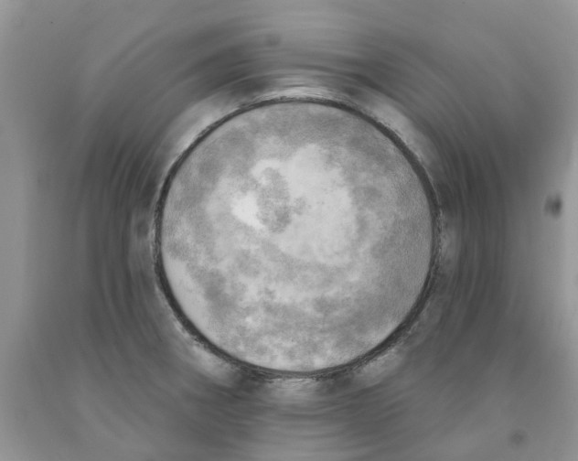 X0000091291282200709071024