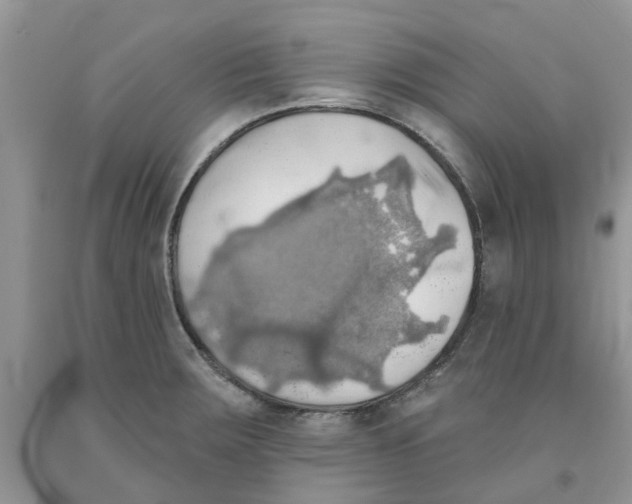 X0000091291283200709071024