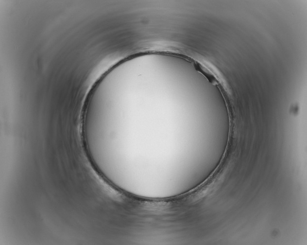 X0000091291285200709071024