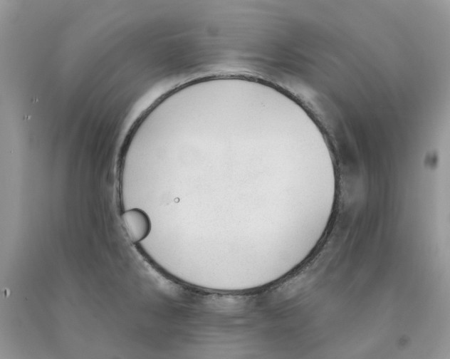 X0000091291286200709071024