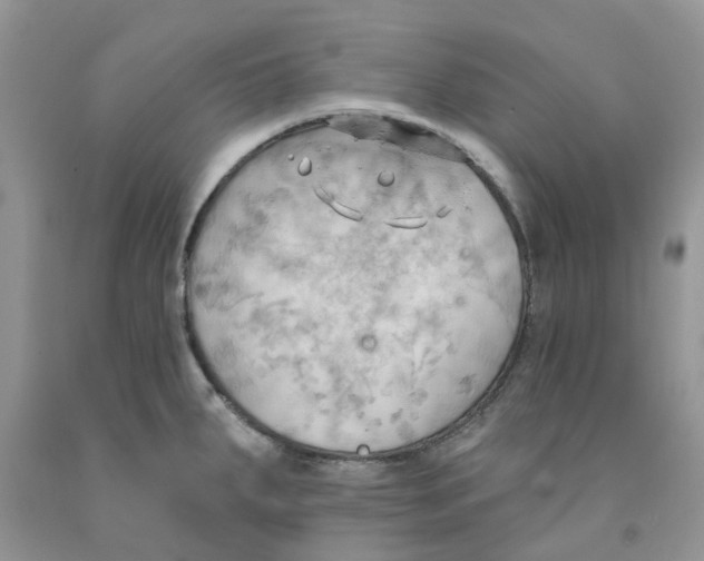 X0000091291287200709071024