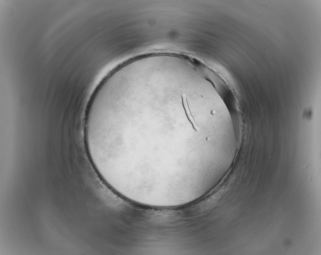 X0000091291288200709071024