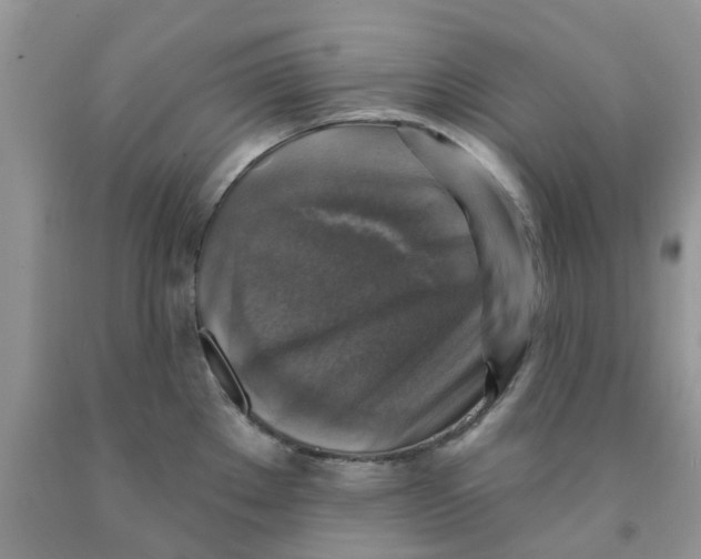 X0000091291289200709071024