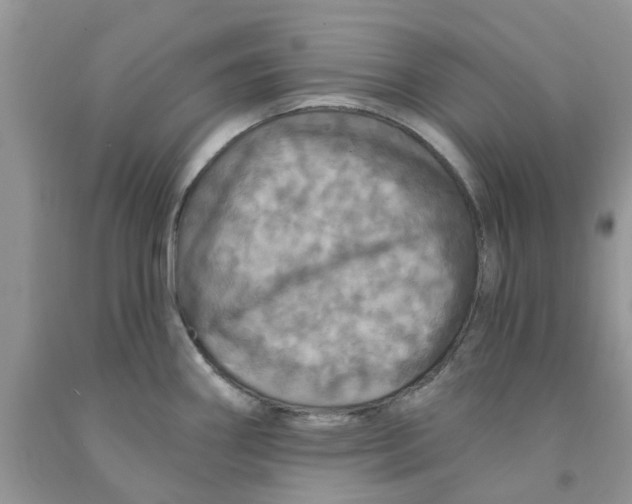 X0000091291290200709071024