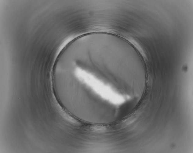 X0000091291291200709071024