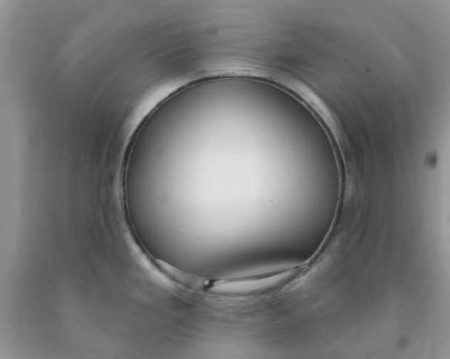 X0000091291293200709071024