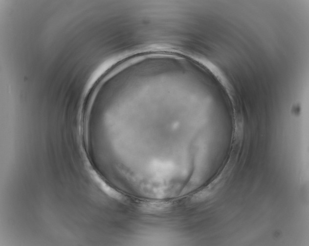 X0000091291294200709071024