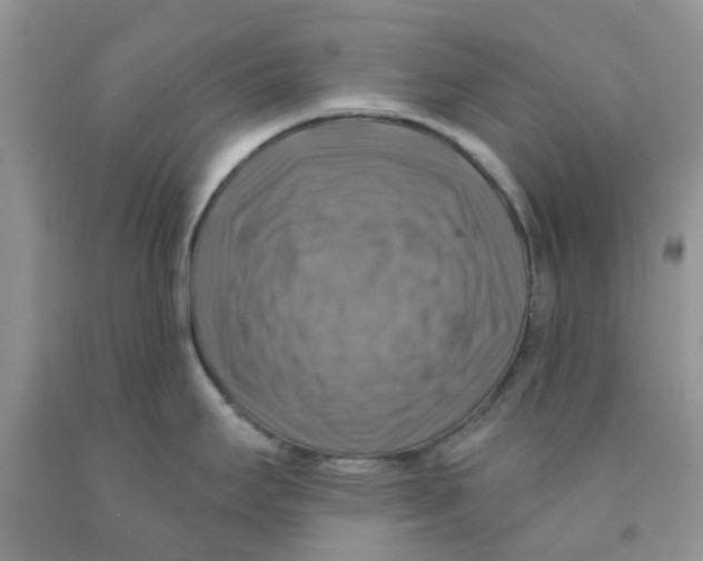 X0000091291295200709071024