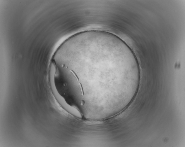 X0000091291296200709071024