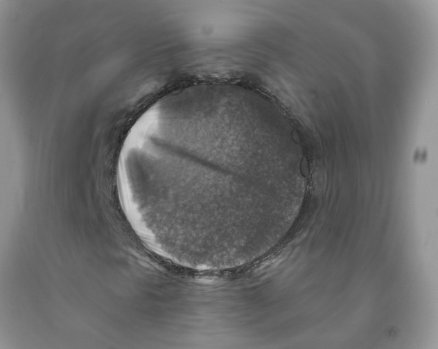 X0000091291297200709071023