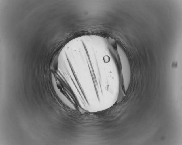 X0000091291298200709071023