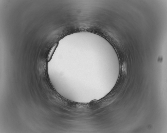 X0000091291299200709071023