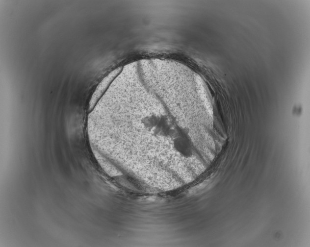 X0000091291300200709071023