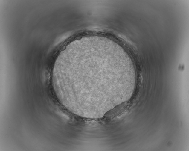 X0000091291302200709071023