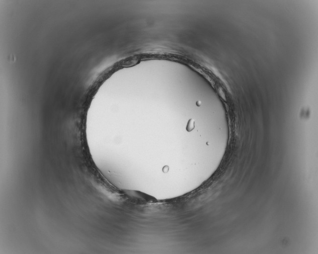 X0000091291304200709071023