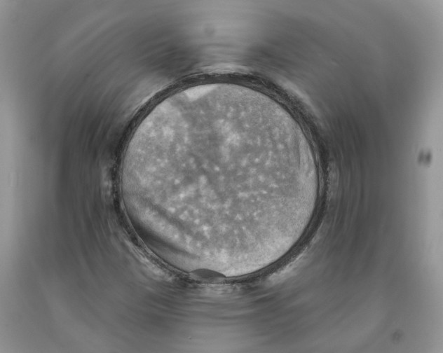 X0000091291305200709071023