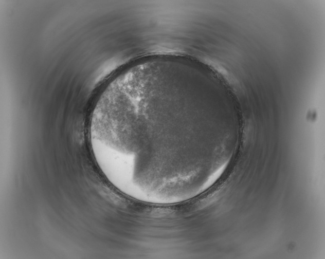 X0000091291306200709071023