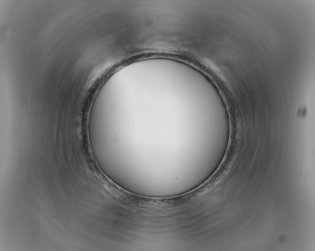 X0000091291307200709071023