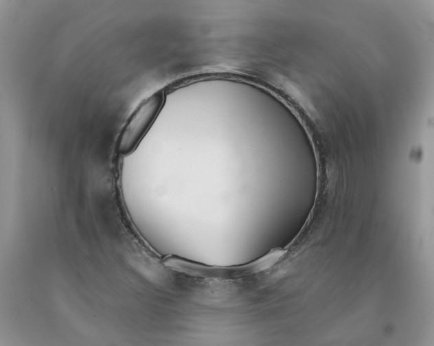 X0000091291308200709071023