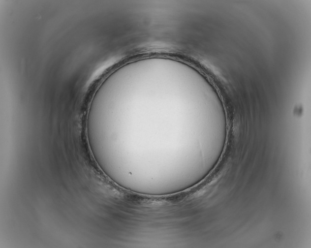 X0000091291309200709071023