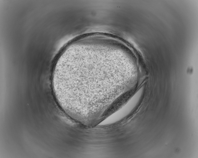 X0000091291312200709071023