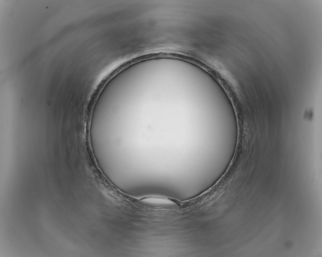 X0000091291316200709071023