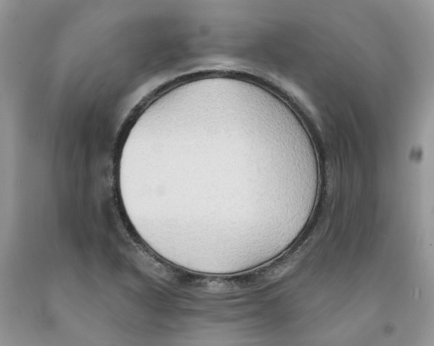 X0000091291318200709071023