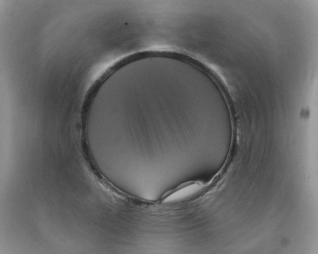 X0000091291319200709071023