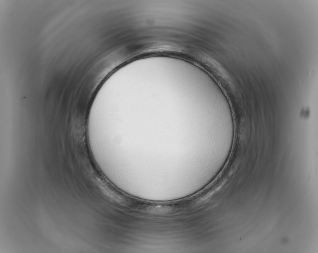 X0000091291321200709071023