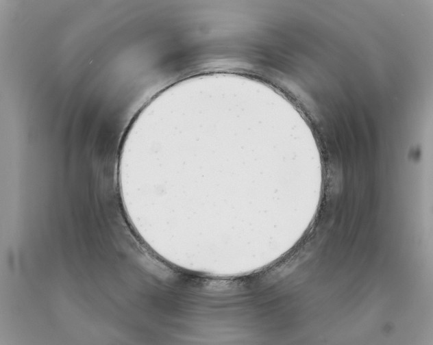 X0000091291322200709071023