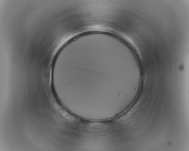 X0000091291323200709071023