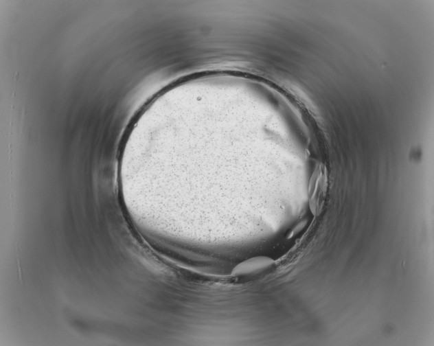 X0000091291324200709071023