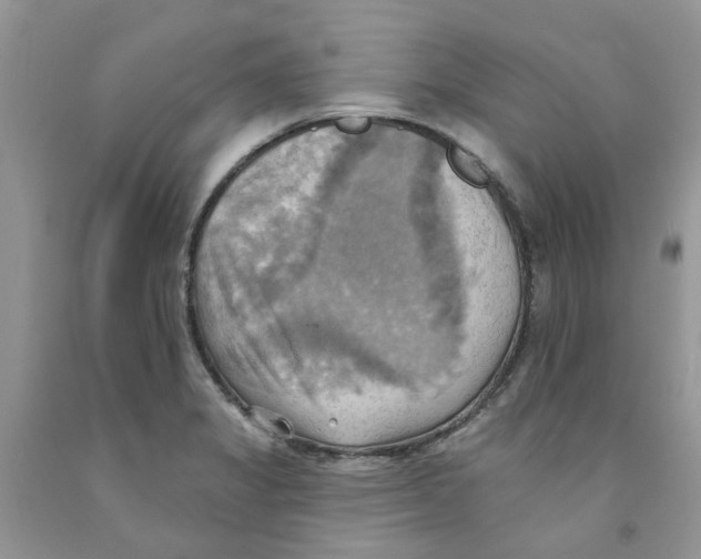 X0000091291325200709071023