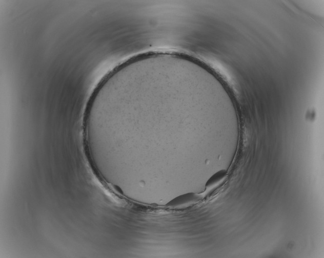 X0000091291327200709071023