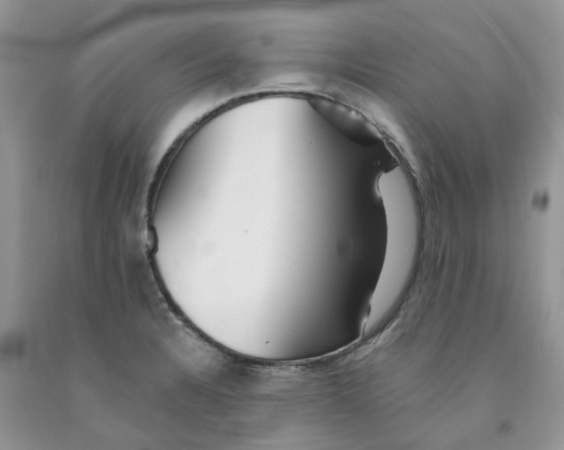 X0000091291328200709071024