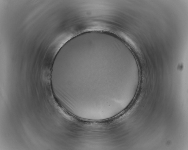 X0000091291329200709071024