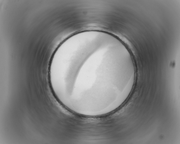 X0000091291333200709071024