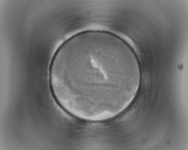 X0000091291335200709071024