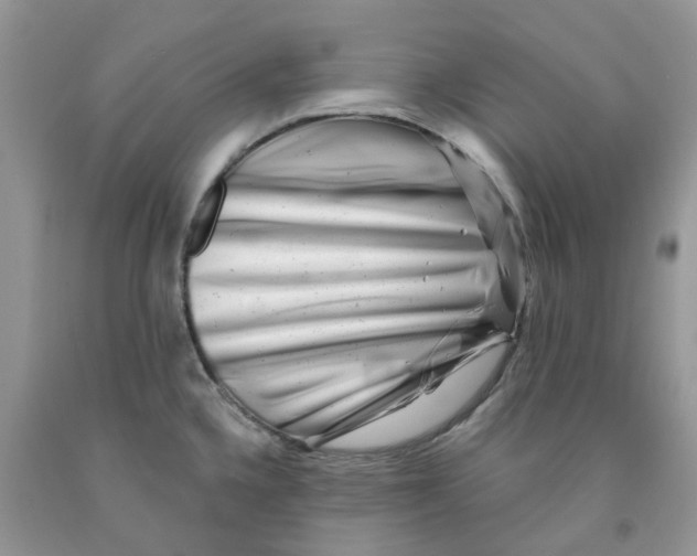 X0000091291336200709071024