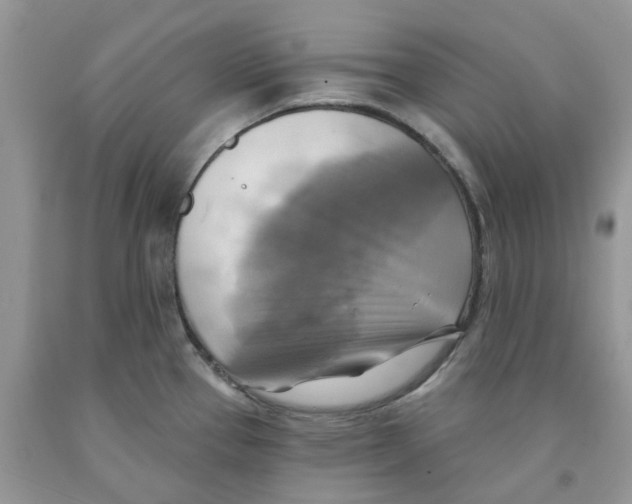 X0000091291337200709071024