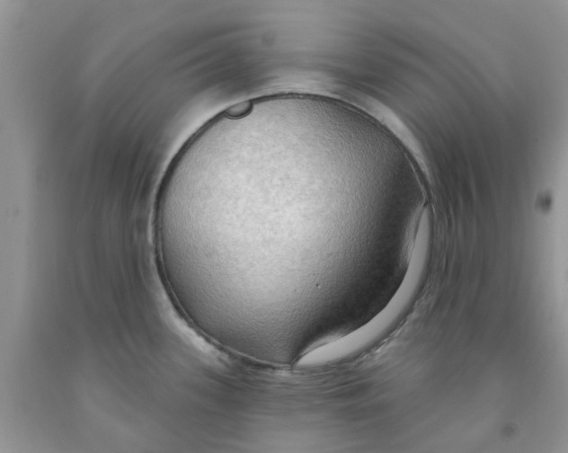 X0000091291339200709071024