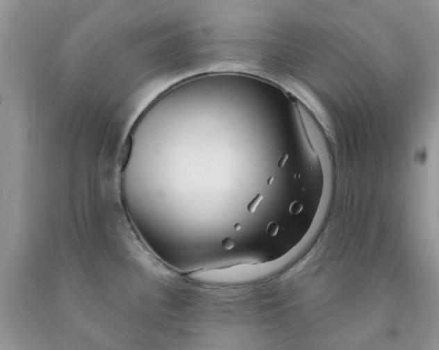 X0000091291340200709071024