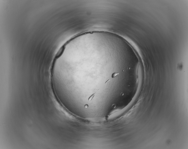 X0000091291341200709071024